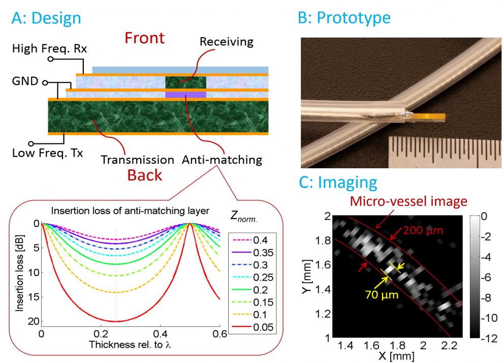 Novel ultrasound transducers/arrays for biomedical imaging Dr