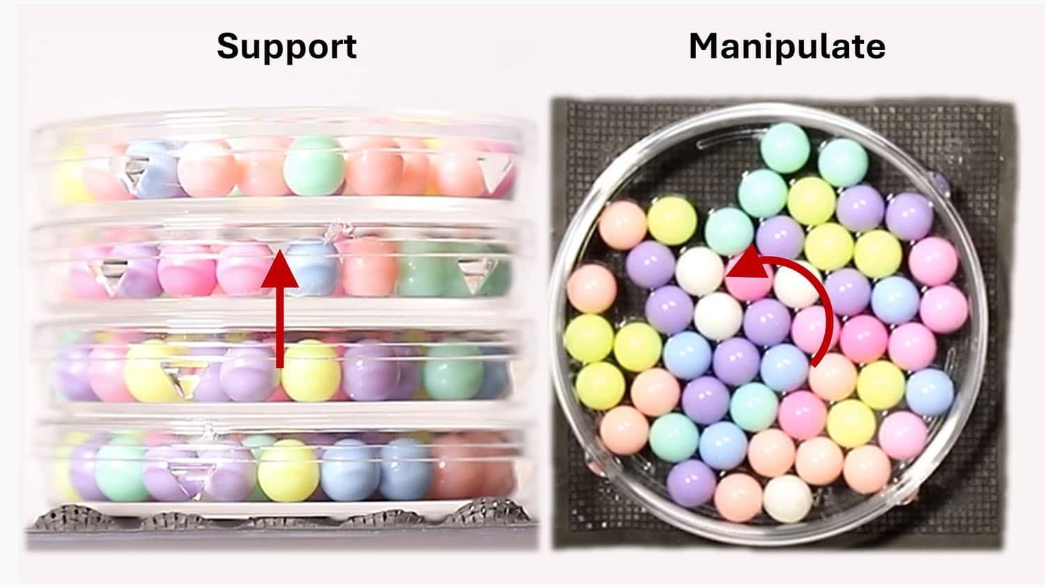 left image is titled support and shows a black polymer sheet lifting four stacked petri dishes that are loaded with spheres. right image is title manipulates and shows a black polymer sheet undulating in a way that rotates the multicolored spheres in a petri dish in a counterclockwise direction