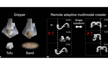 The image is a scientific figure illustrating a remote adaptive multimodal crawler and gripper system. On the left, under the heading "Gripper," two panels show a soft, translucent robotic gripper holding different materials. The left panel shows the gripper securely holding a piece of Tofu (solid object). A small, white piece of tofu is also shown below it. The right panel shows the gripper holding a granular material resembling Sand. A pile of sand is also shown below it. Scale bars are visible at the bottom left of this section. On the right, under the heading "Remote adaptive multimodal crawler," two columns of panels illustrate the crawler's motion and shape transformation. A double-headed arrow labeled "Shape transform" separates the two columns. In both columns, the magnetic field (B) direction is indicated by a red arrow pointing upwards. Time stamps in seconds (s) are provided for each step. The left column shows the crawler in a wave-like or serpentine shape, demonstrating a crawling motion to the left. 0.00s: The crawler is in an elongated, S-curve shape. A white arrow indicates movement to the left. 0.30s: The shape has changed, pulling the body forward. 0.59s: The crawler is further elongated and has moved to the left. The right column shows the crawler in a C-shaped or inchworm-like shape, demonstrating a different crawling motion to the right. 0.00s: The crawler is in an arched, C-like shape. A white arrow indicates movement to the right. 0.20s: The shape has changed, pulling the body forward. 0.51s: The crawler has moved further to the right. Small scale bars are also visible at the bottom of the right section. The figure demonstrates the multifunctional capabilities of the soft robotic system, which can act as a gripper for different material types (solid and granular) and as a crawler that can change its shape and mode of locomotion in response to an external magnetic field.